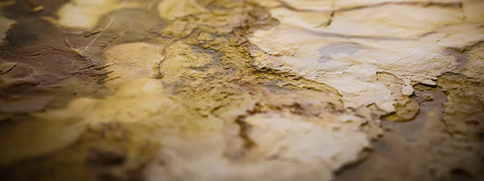 Wabi-Sabi : l'élégance de l'imperfection