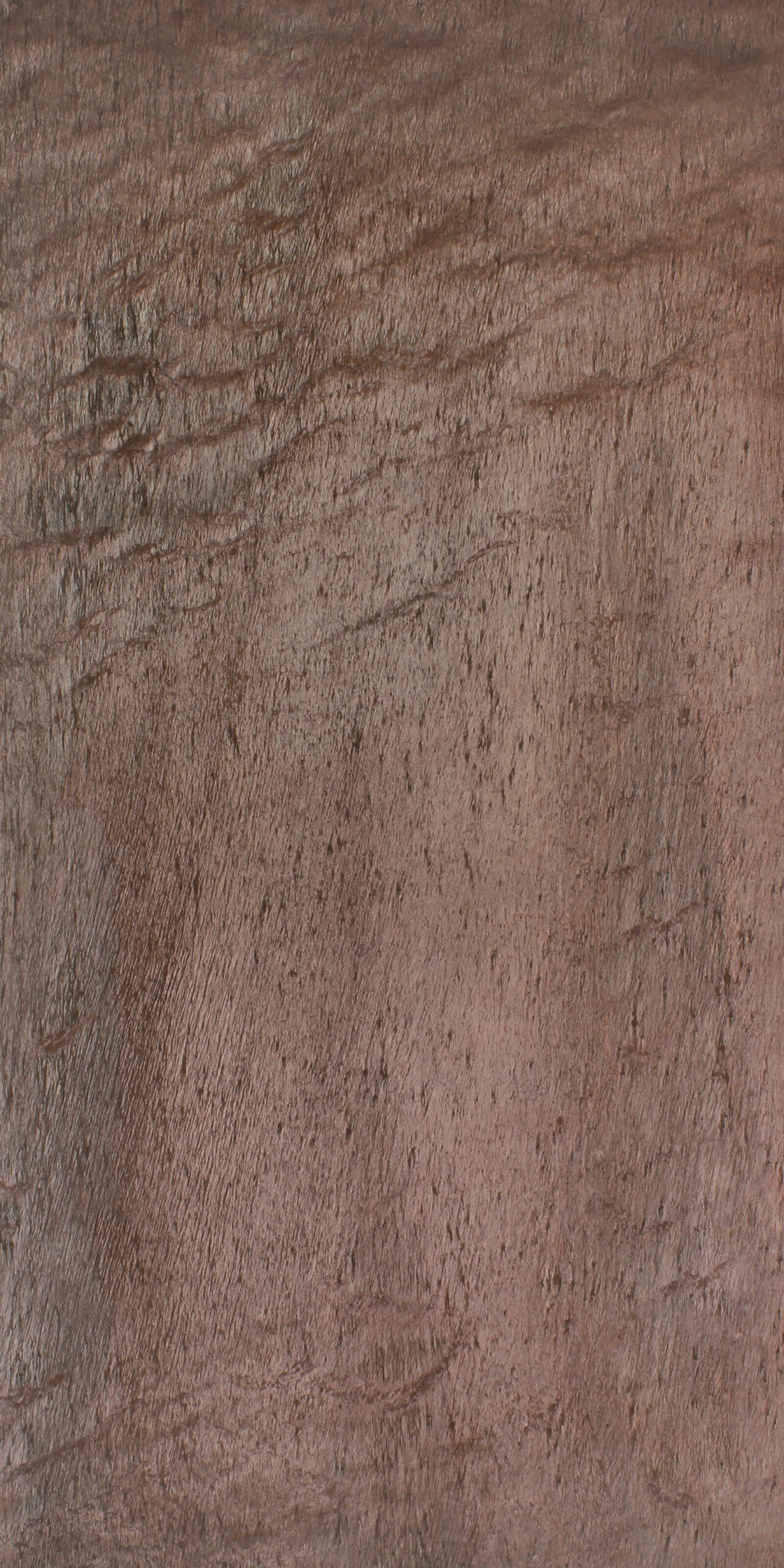 Mica Cuivré
