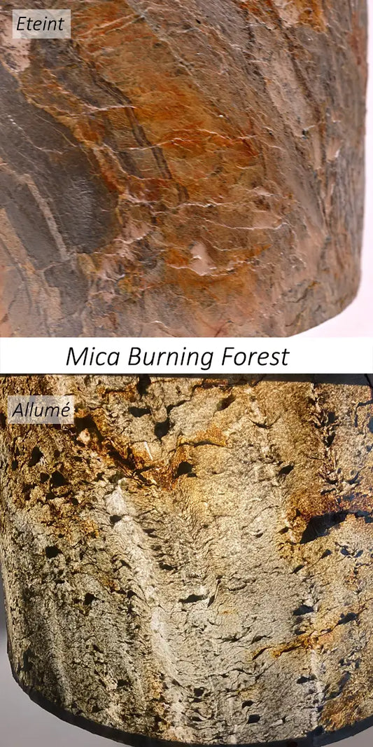 Vues de détail de la feuille de mica burning forest éteinte et éclairée, le nom de la feuille de pierre figurant au centre de l'image