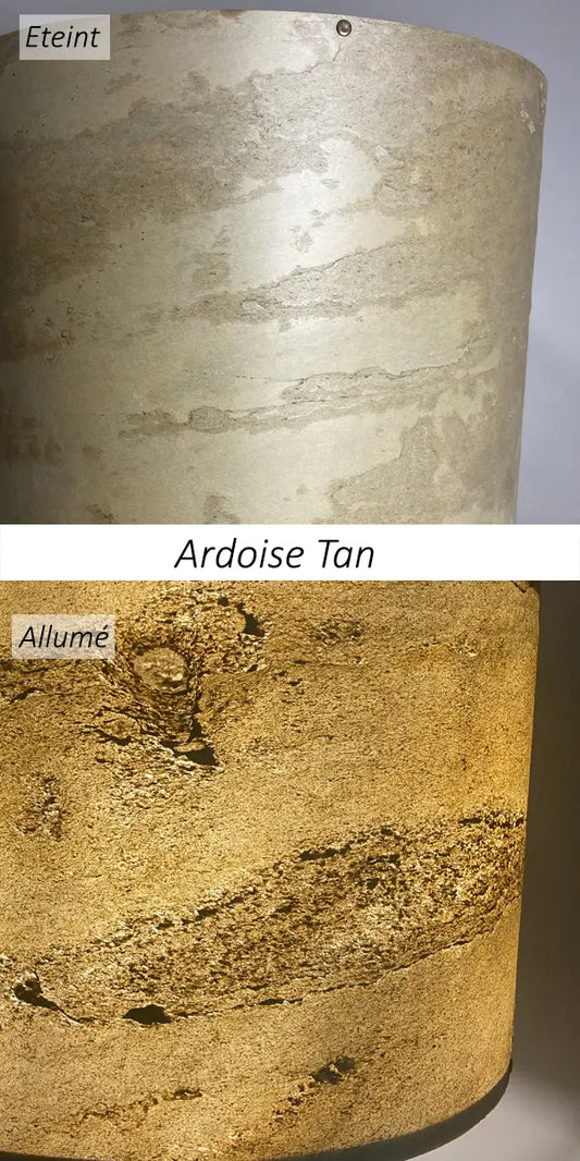 Vues de détail de la feuille d'ardoise Tan éteinte et éclairée, le nom de la feuille de pierre figurant au centre de l'image